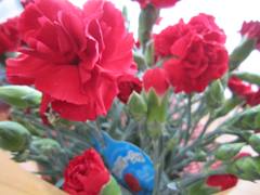 08052011.jpg