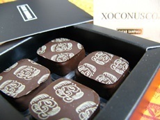 cacaosampakasoconusco2015.jpg