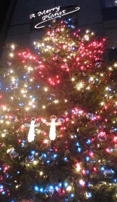 mikimotoxmastree2007.jpg