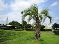 ngoyagardenpier.jpg
