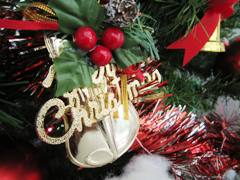 noel2010.jpg