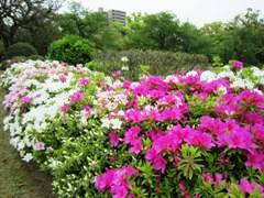 ritsurinpark.jpg