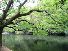 ritsurinpark7.jpg