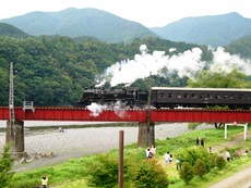 slatkawaneonsen30062013.jpg